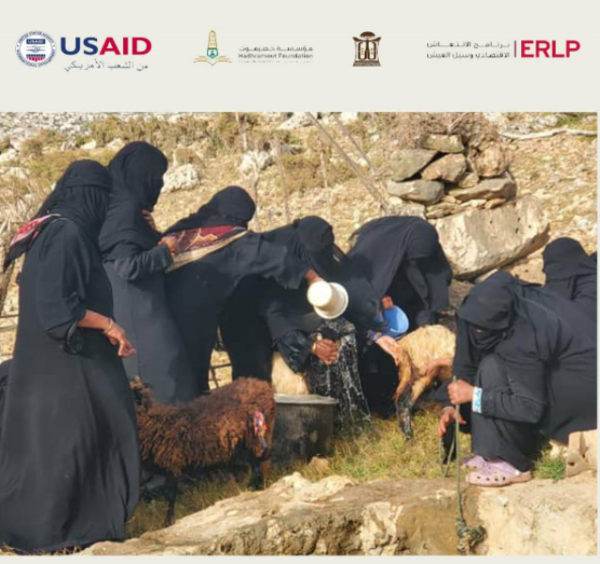 hadhramout foundation 8